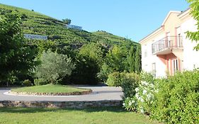 Hotel Le Domaine Des Vignes Ampuis Lyon Sud Vienne